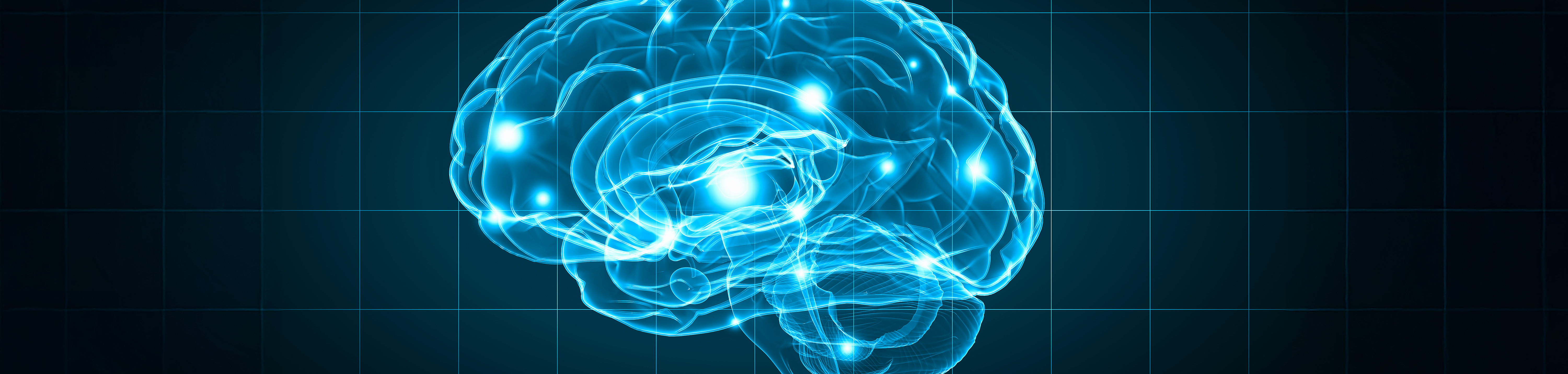 Top horizontal artwork of a cropped banner of an illustrated vector styled human brain graphic representation 