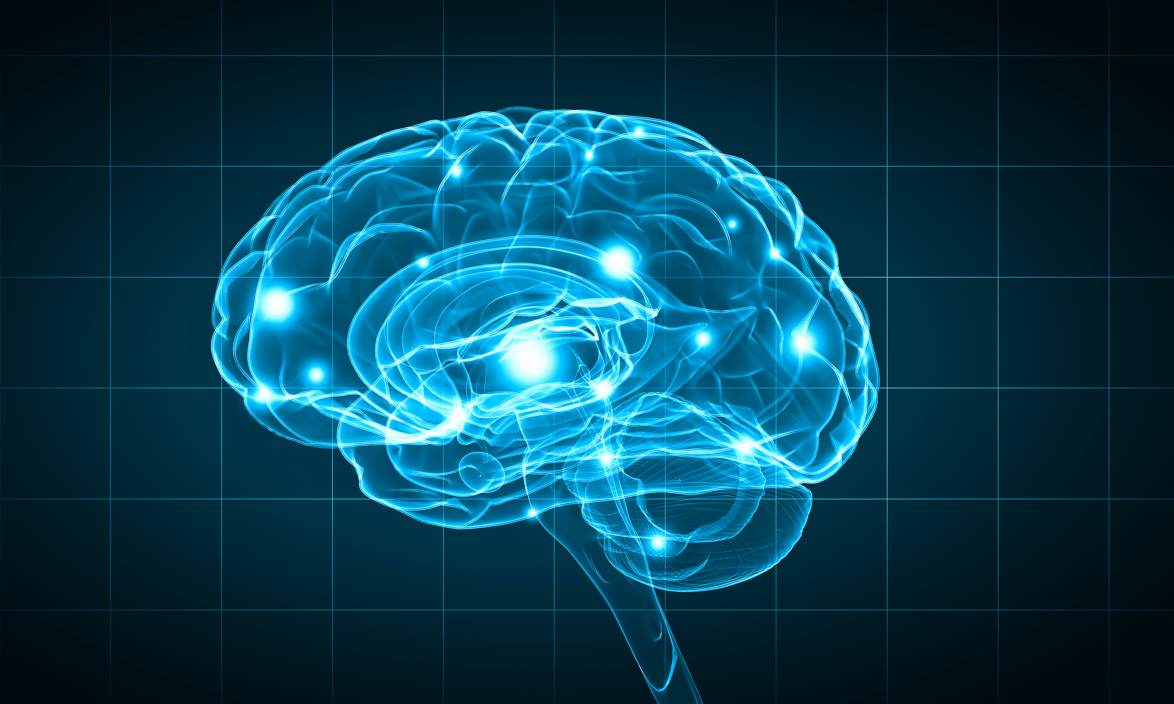 Artwork of a human brain graphic representation 