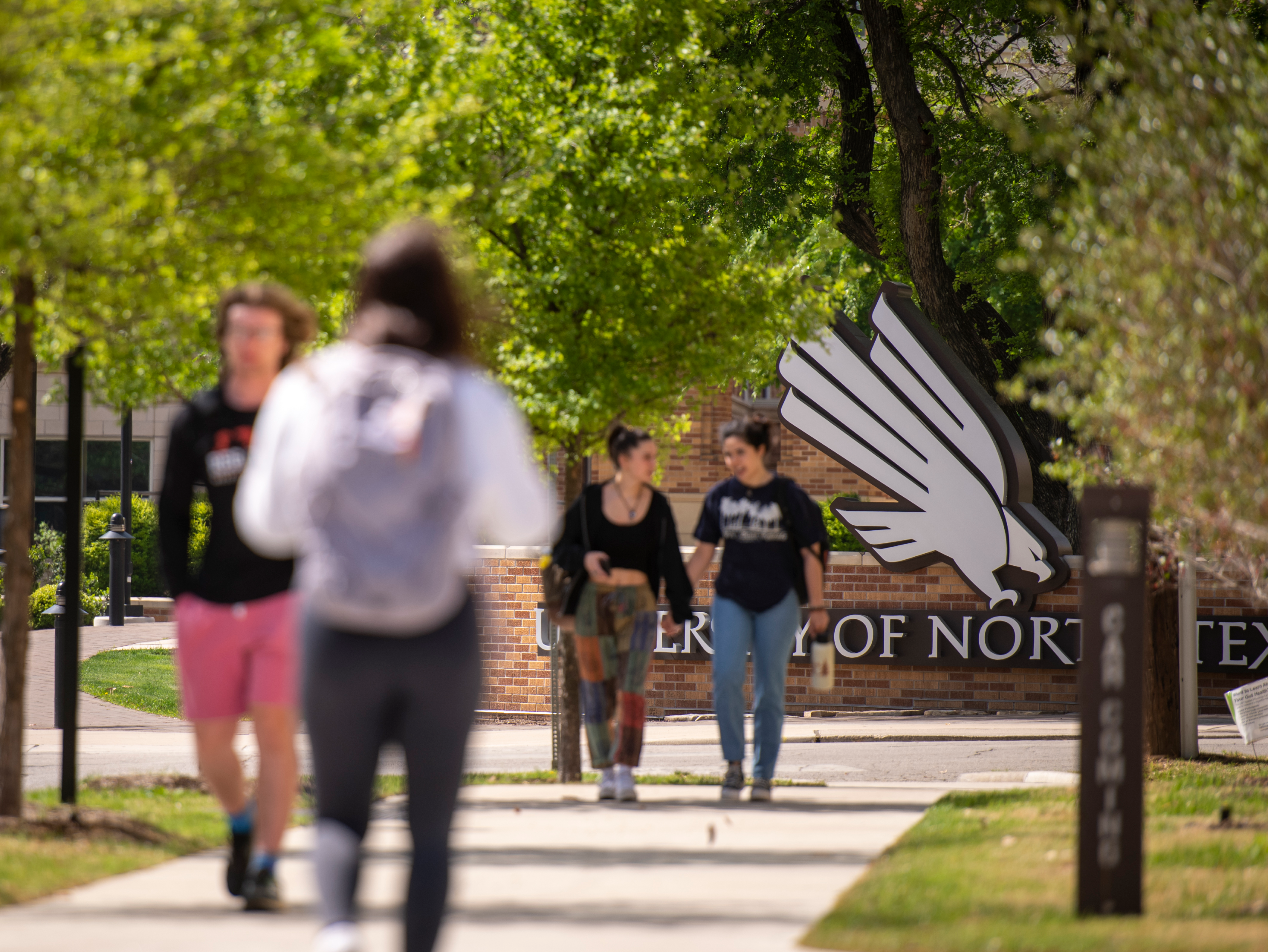 Photo of students on UNT's Denton campus