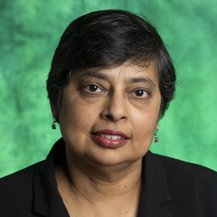 Dr. Nandika D’Souza, associate dean for the UNT College of Engineering