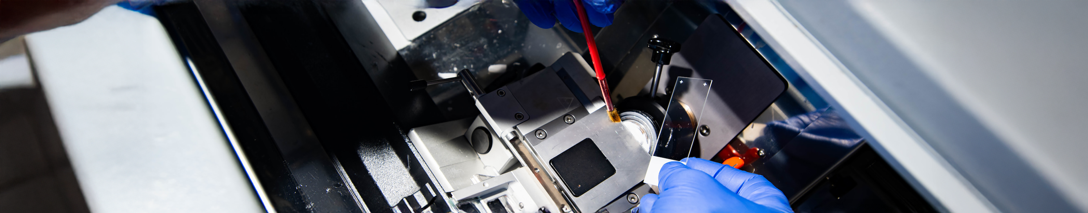 Top horizontal photo banner of a closeup of a hand wearing a blue latex glove holding a clean glass slide preparing to run a test. An antistatic brush is also being used to dust of a part of a research machine at a laboratory in UNT 