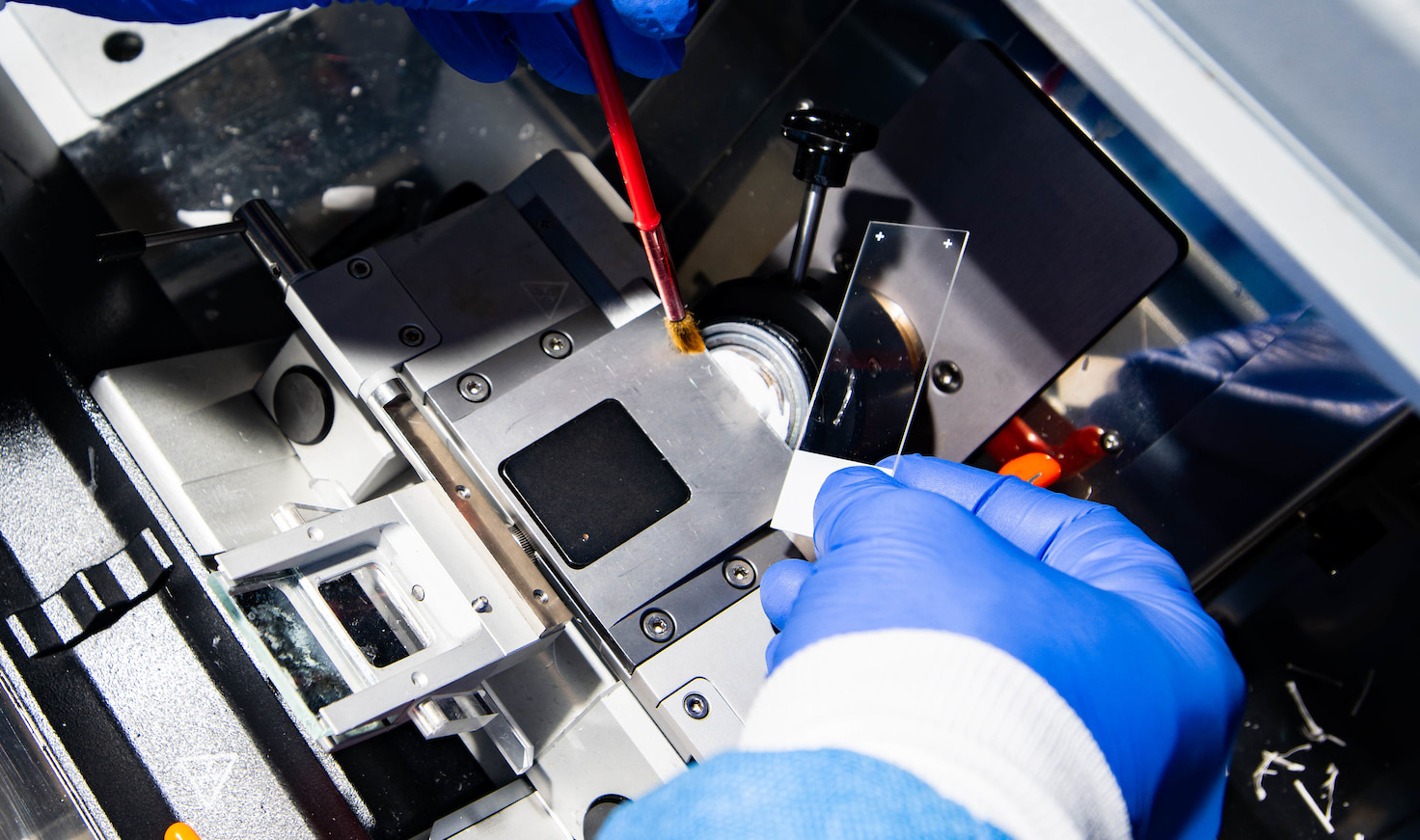 Photo of A blue latex glove holding a slide preparing to run a test using a research machine at a laboratory in UNT 