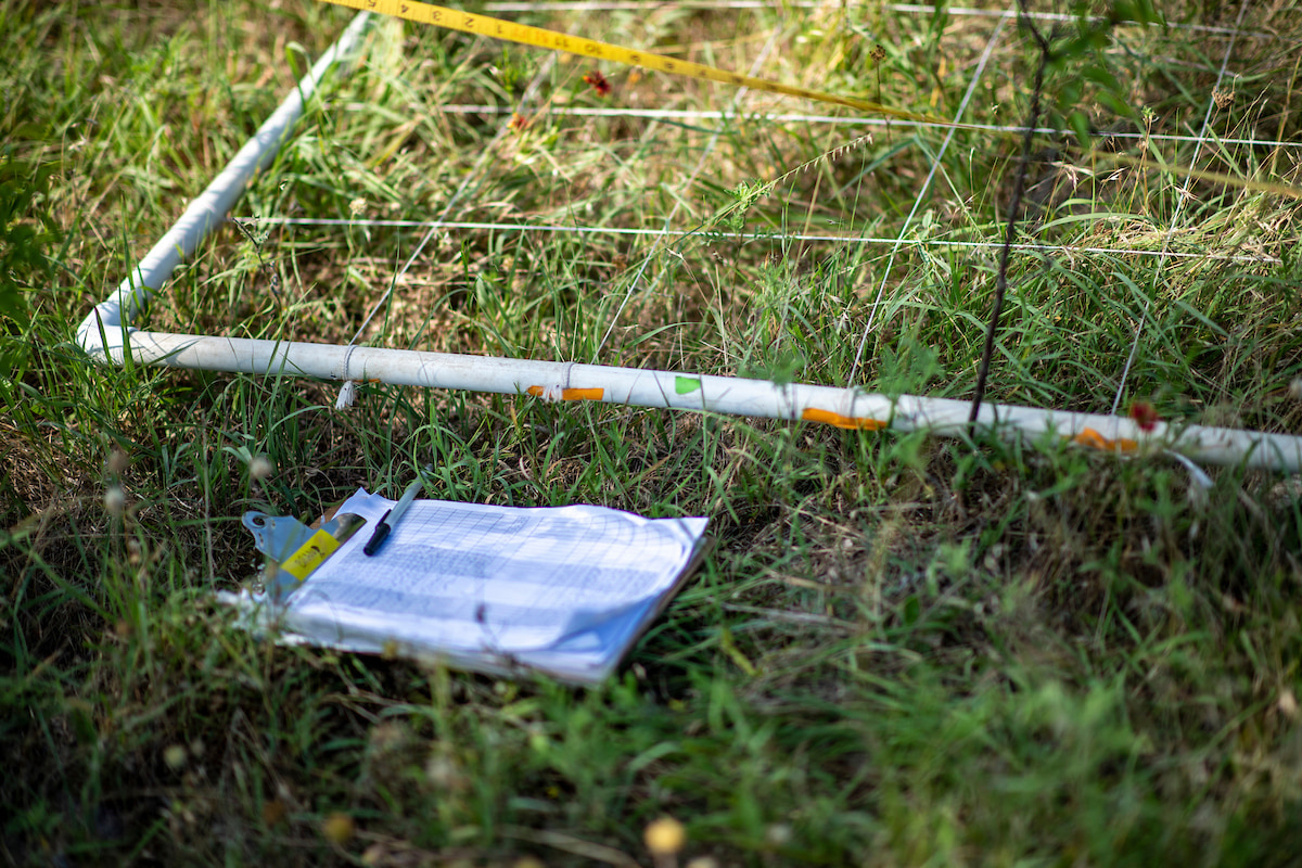 Photo of a clipboard with a sheet of paper on a clipboard with a pen, and a large measuring frame with a grid of string providing square quadrants laid on top of a grassy field.