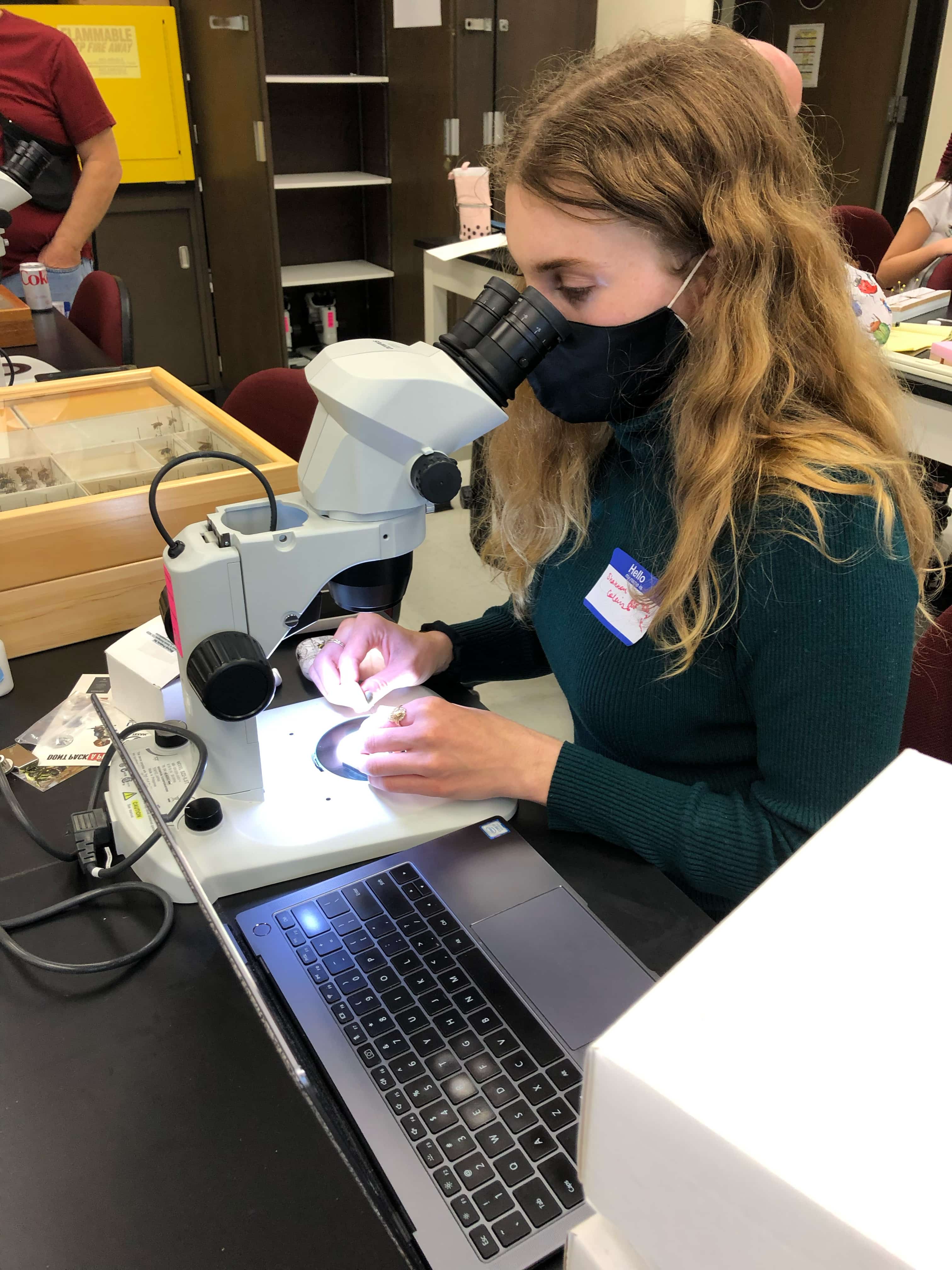 Photo of Shannon Collins, as a UNT student at a microscope studying the bees she caught.