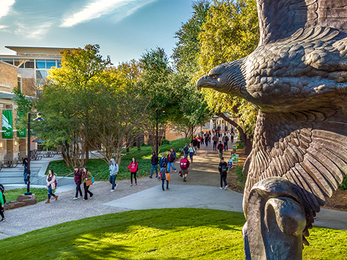 UNT Campus