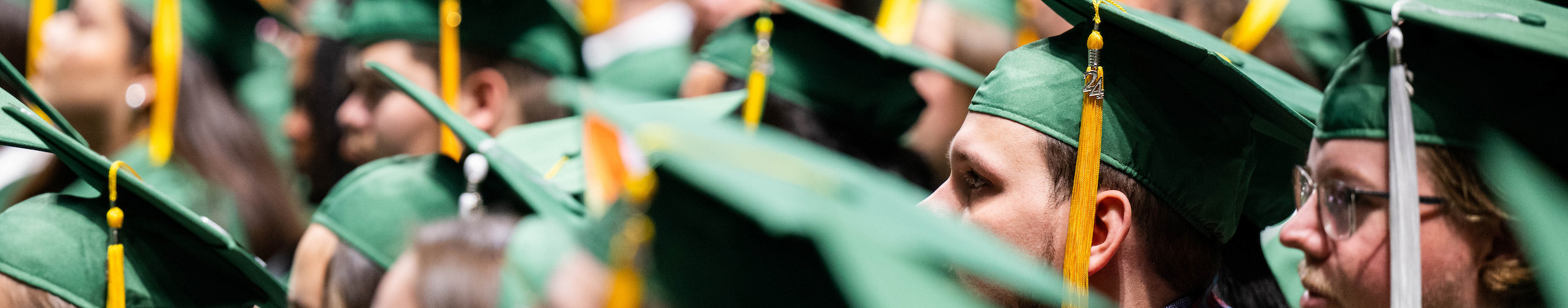 Top horizontal narrow cropped photo banner of rows of UNT graduates in green caps with gold tassels are seated during the University of North Texas Commencement ceremony, with one graduate wearing a colorful cultural stole visible in the foreground.