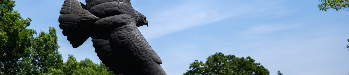Top horizontal, narrow-cropped photo banner of the University of North Texas soaring eagle statue formally titled "In high places" is pictured with wings spread against a blue sky located on campus.