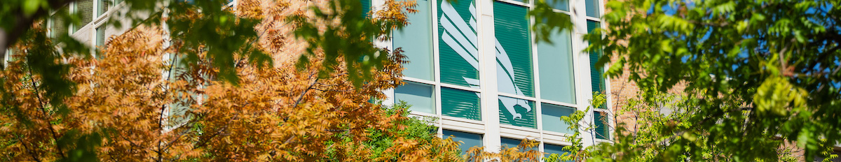 Photo banner of UNT campus building windows framed by autumn leaves with a white eagle emblem visible inside of a green tinted window. Top horizontal, narrow-cropped photo banner of UNT campus building windows framed by autumn leaves with a white eagle emblem visible inside of a green tinted window.