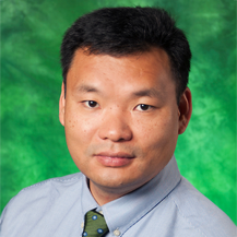 UNT's Tao Zhang elected to NAK membership as a Fellow