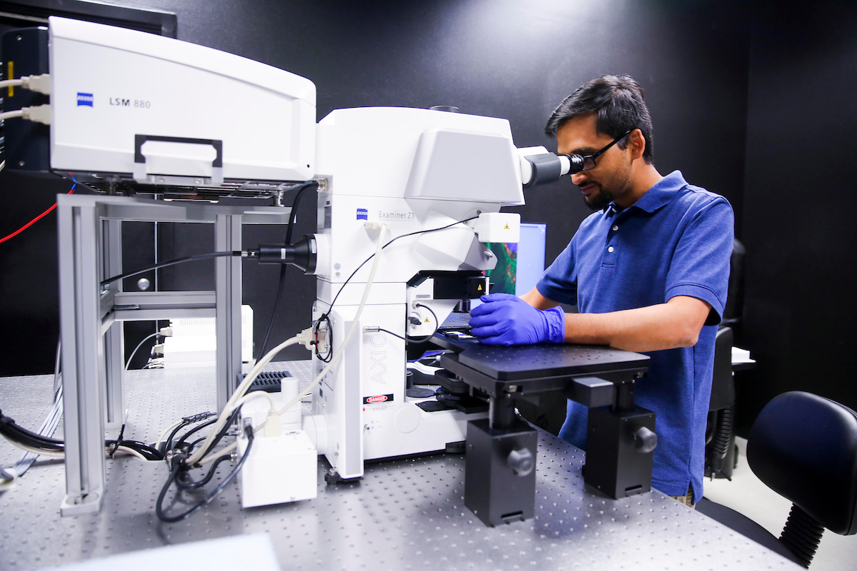 Photo of UNT Health researcher using a microscope in a laboratory to examine a sample.