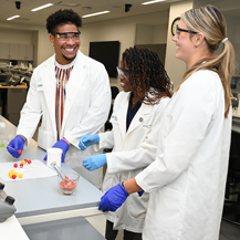 PhD Pharmaceutical Sciences UNT Health Fort Worth