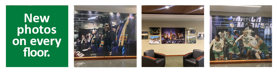 Photo 1: New wall wrap; Photo 2: New canvas image on the wall; Photo 3: New wall wrap by the glass shelves.