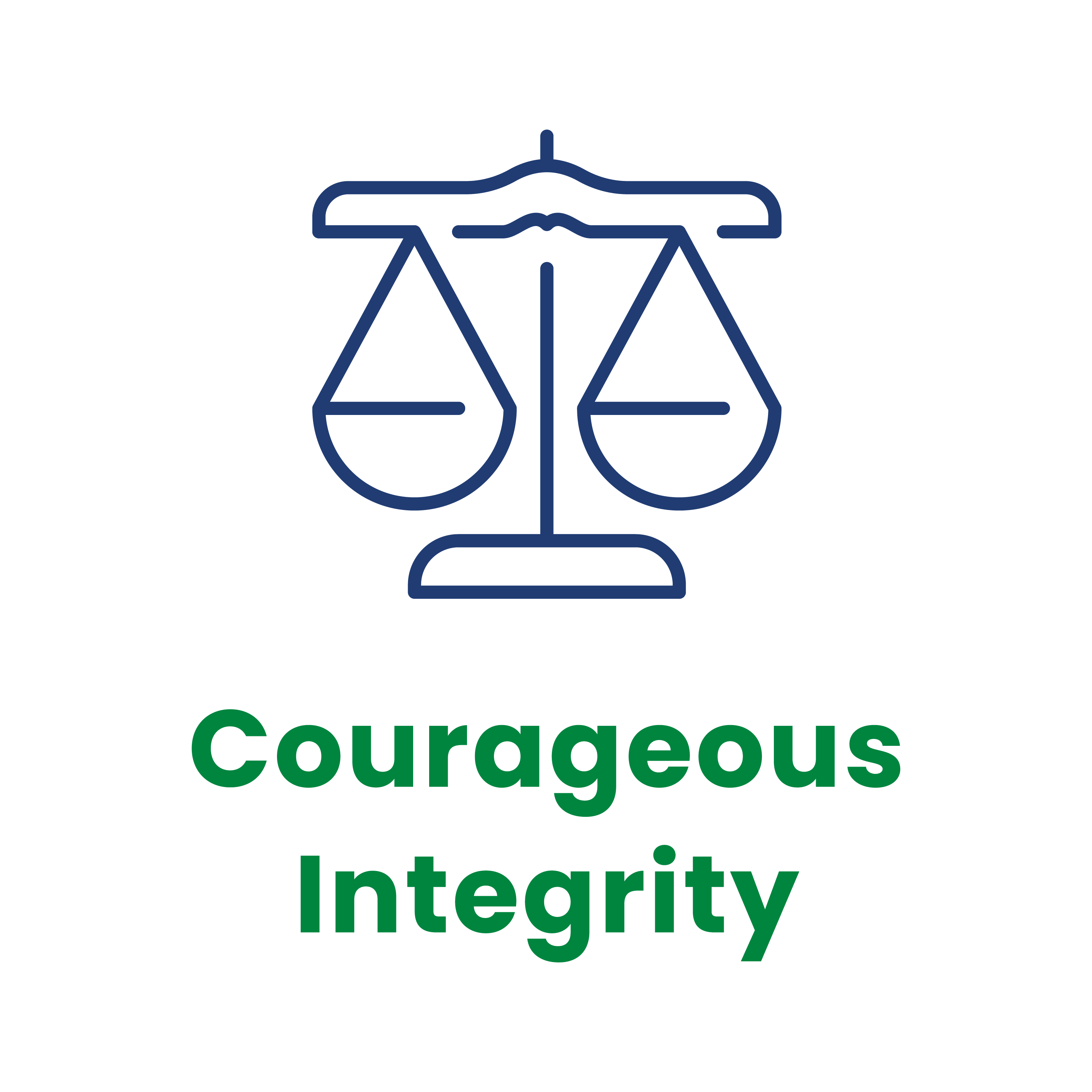 Values Logo - Courageous Integrity