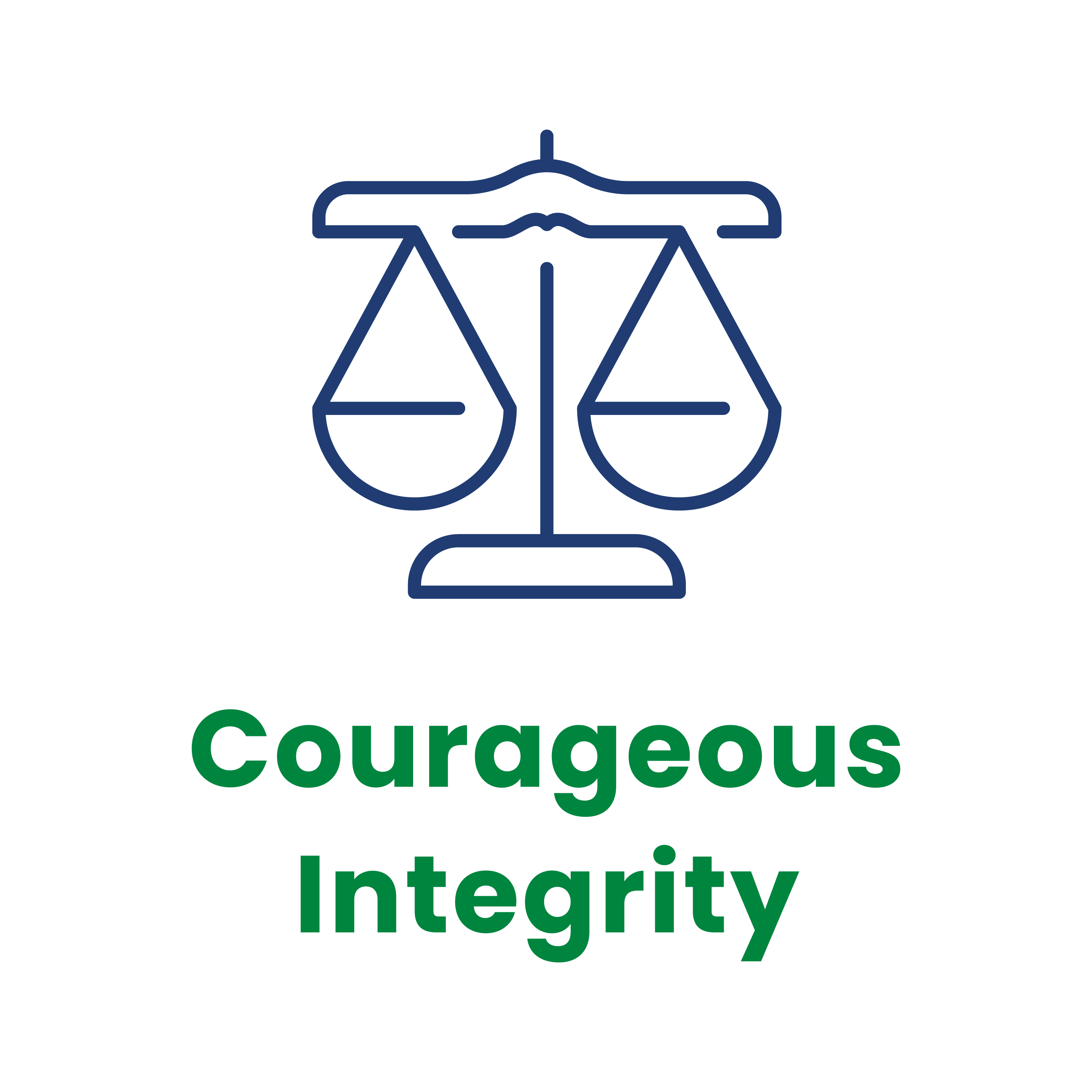 Values logo - Courageous Integrity