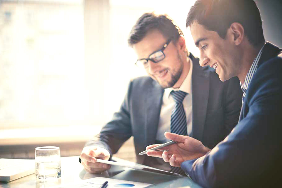 Two businessmen working